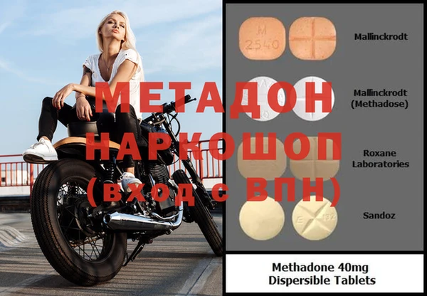 амф Тайга