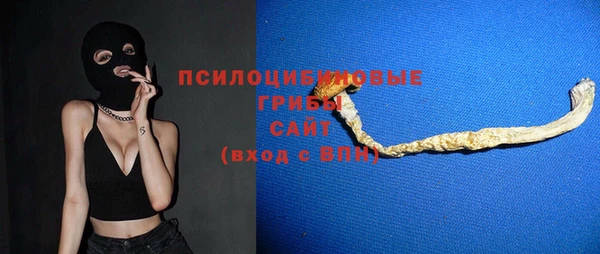 крисы Горно-Алтайск