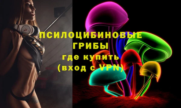 крисы Горно-Алтайск