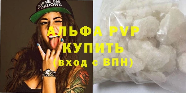 стафф Вязьма