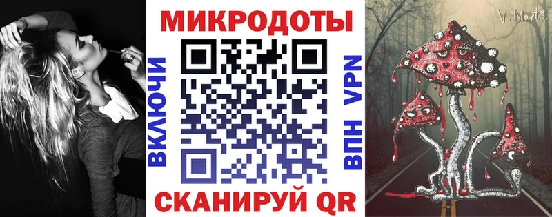 Галлюциногенные грибы Psilocybe  Демидов 